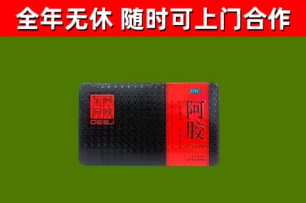 洛宁县回收阿胶