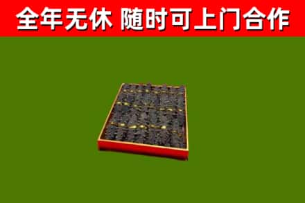 洛宁县回收海参